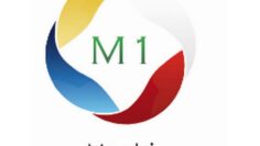 logo_montsi